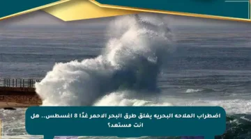 اضطراب الملاحة البحرية يغلق طرق البحر الأحمر غدًا 8 أغسطس.. هل أنت مستعد؟